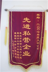 先進私營企業